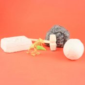 Dinosaurie Dig It Out