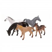 Animal world: Vilda hästar, 5-pack
