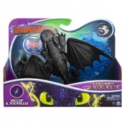 Dragons Hiccup & Toothless, The hidden world