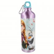 Frost vattenflaska i aluminium, 750 ml