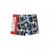 Avengers Badbyxor