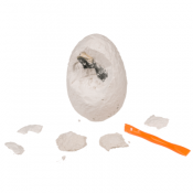 Dinosaurie Utgrävningsset