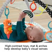 Fisher Price 3 i 1 lyssnade och växande bebis aktivitetslekmatta