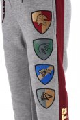 Harry Potter mjukisbyxor grå