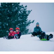 Stjärtlapp Rosa 43 cm