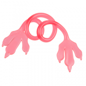 Stretchy Sticky Dinosaurieklor