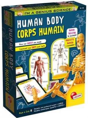 Anatomilåda, lär dig mer kroppen